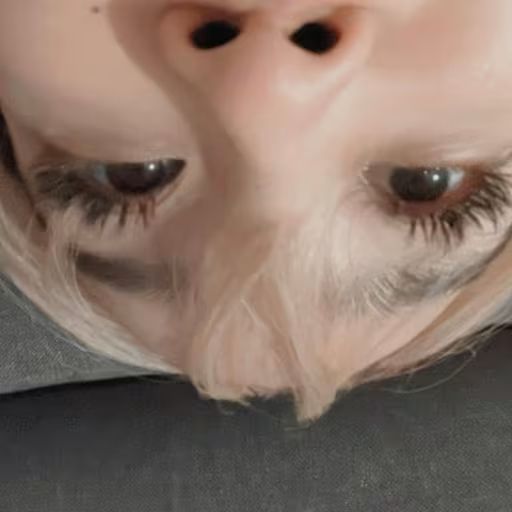 Leezi's profile